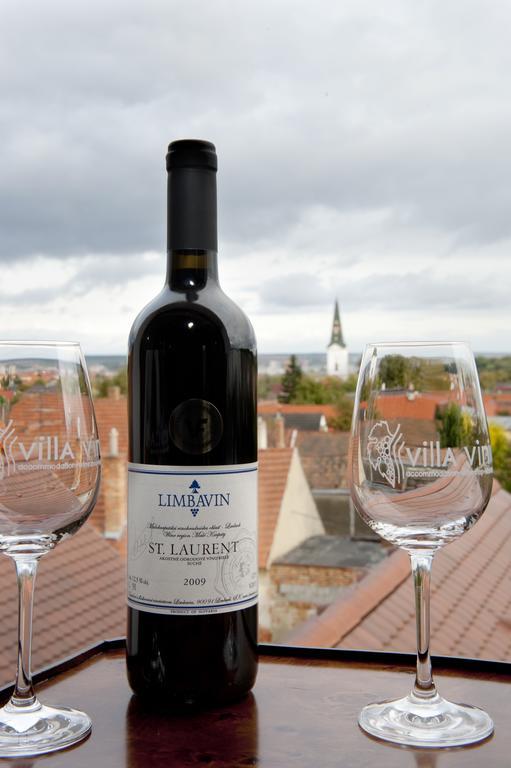 Villa Vinica Limbach 외부 사진
