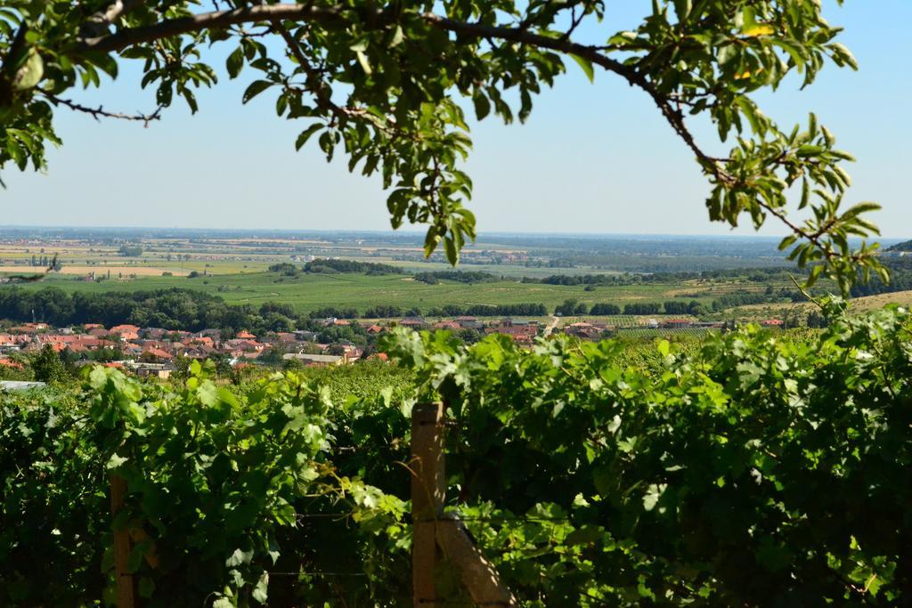 Villa Vinica Limbach 외부 사진